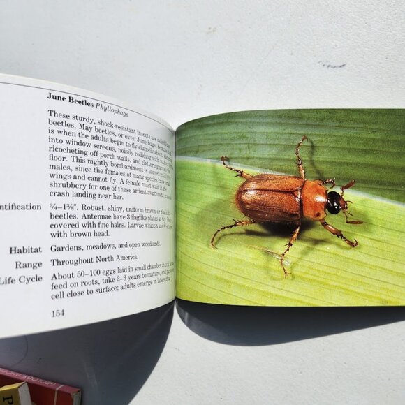 6 Field Guides Book Bundle Guide Books Reference Nature Trees Mammals Geology In - Picture 15 of 16